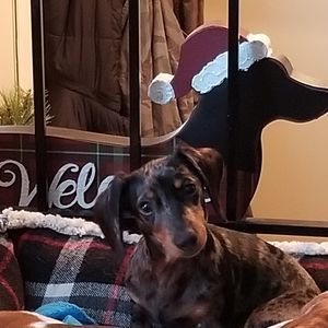 Meet your Posher, Jerri